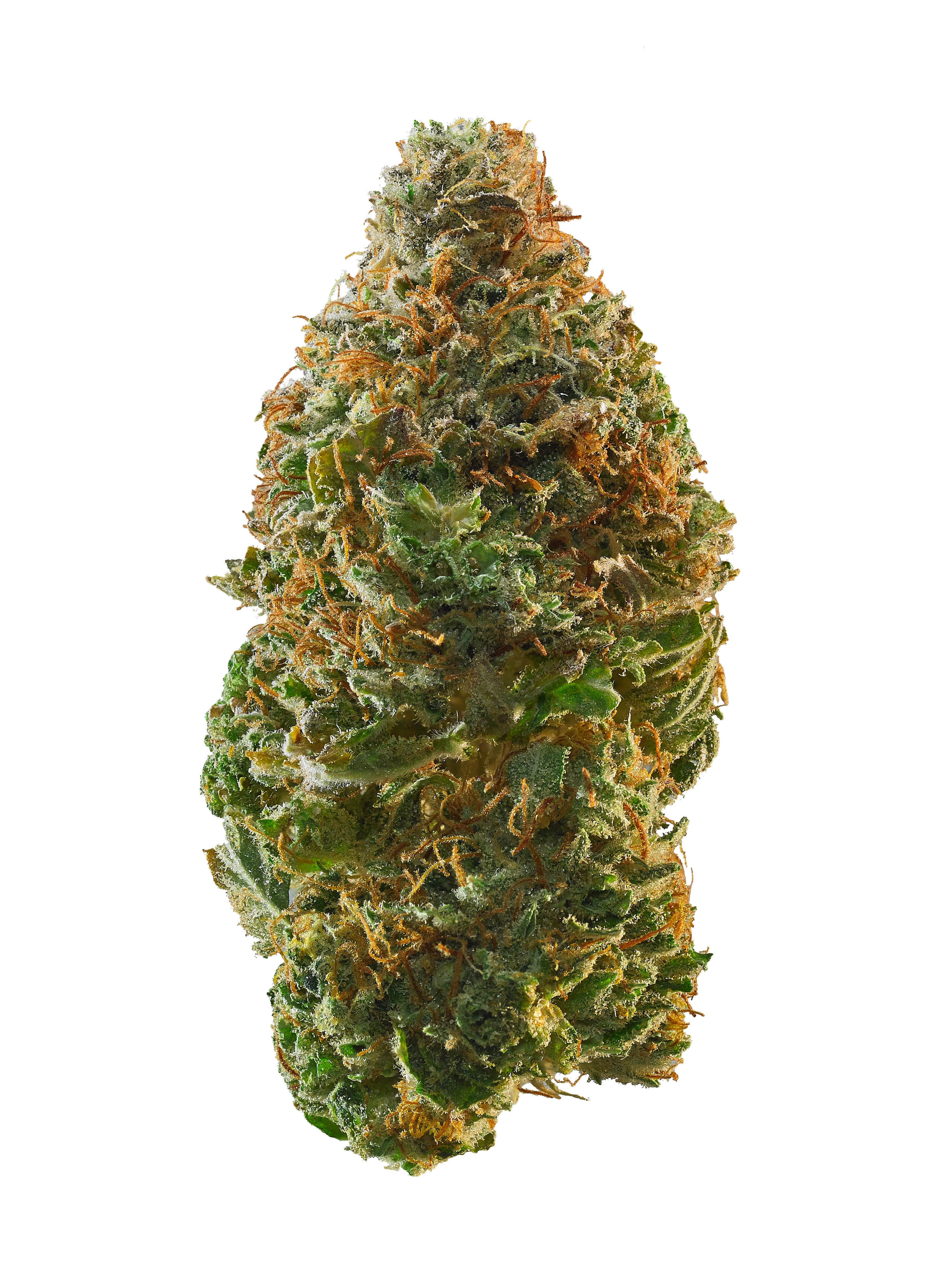Exotic Strain