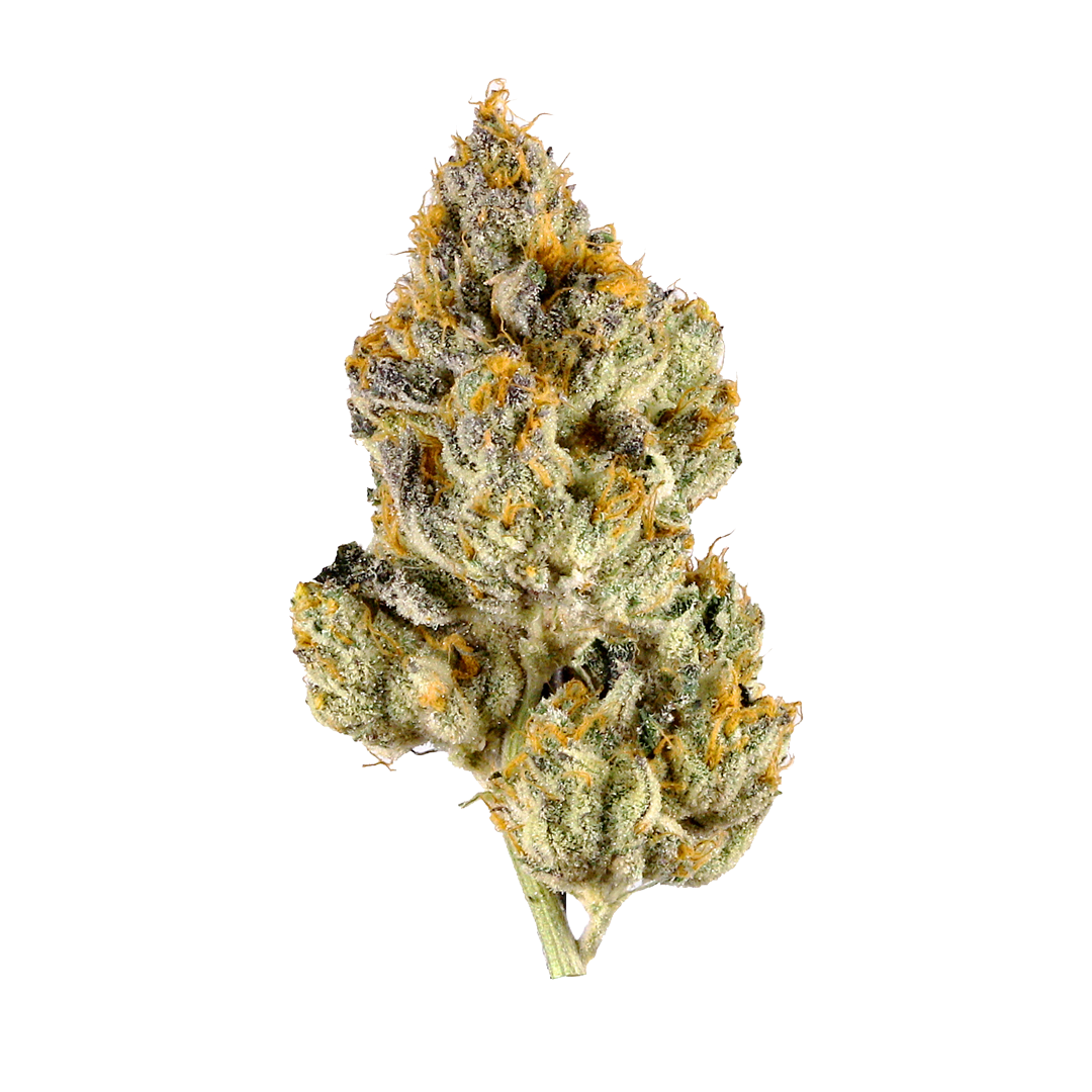 Exotic Strain