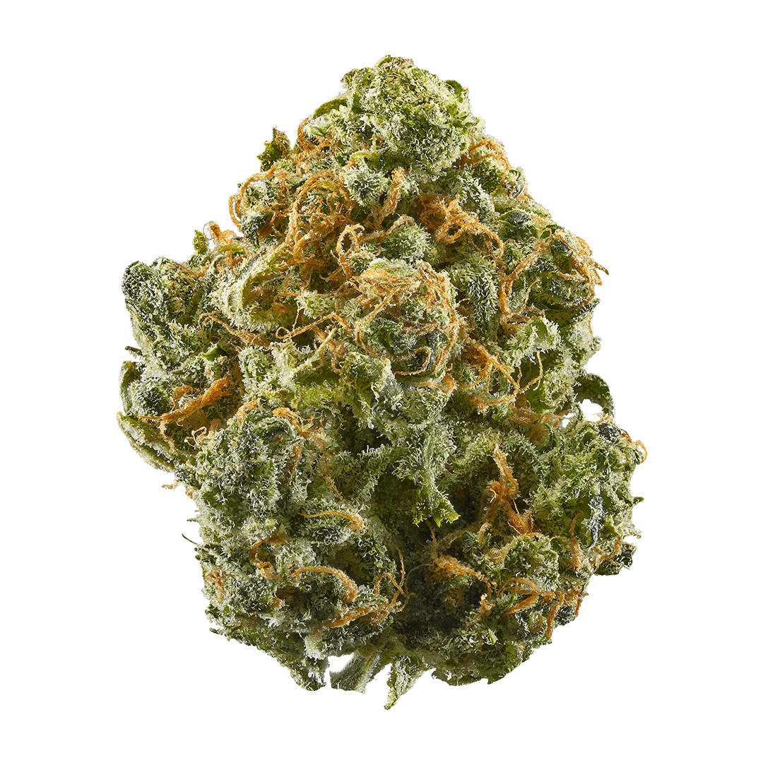 Exotic Strain