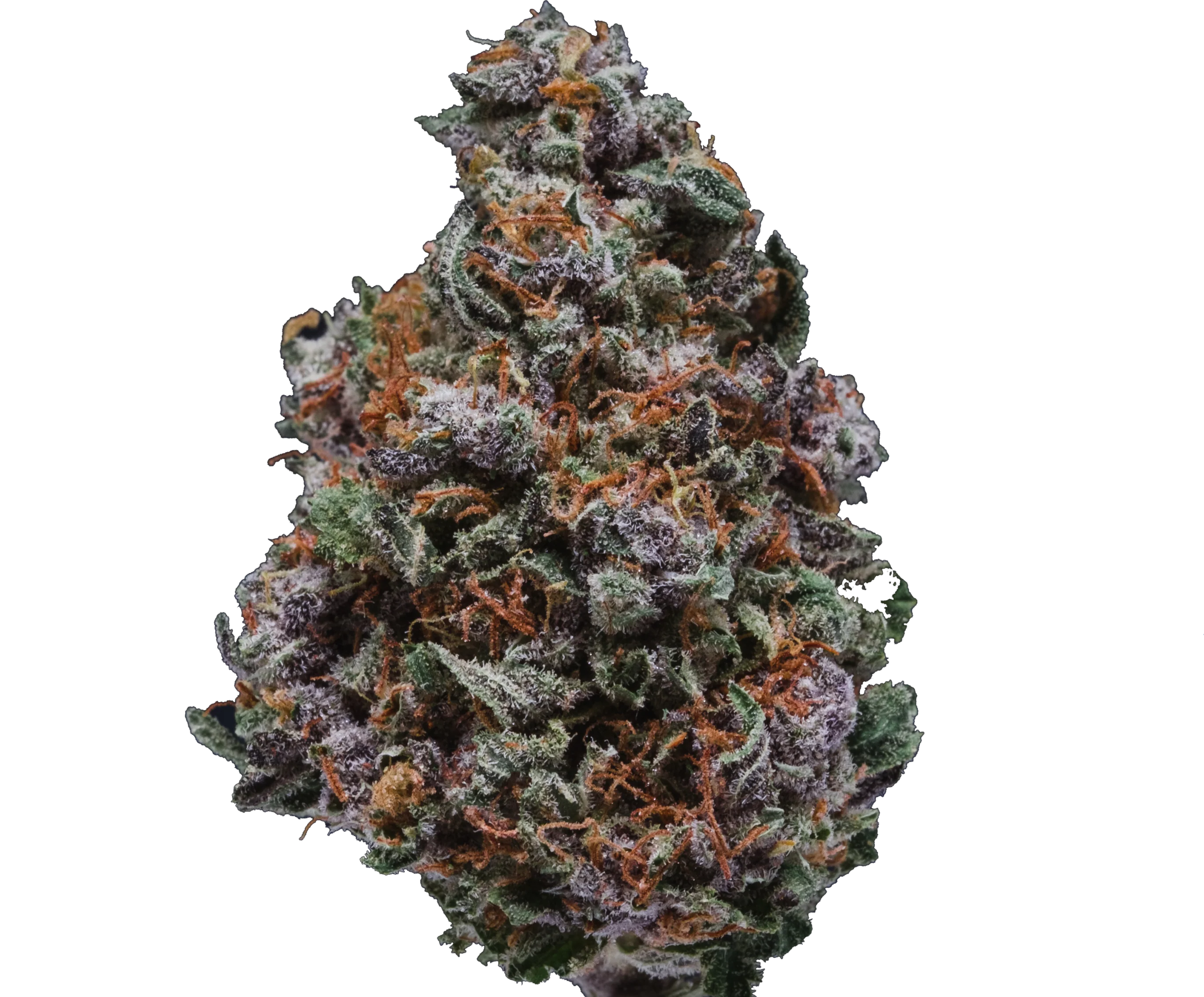 Dosidos