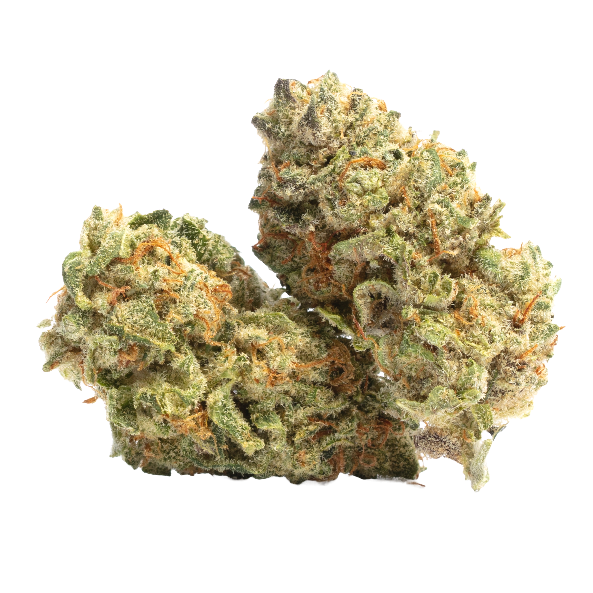 Lemon G